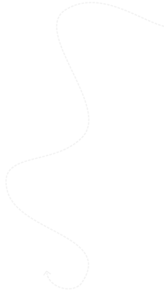 dotted line