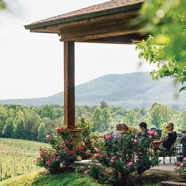 Vineyard Landscape with Flowers